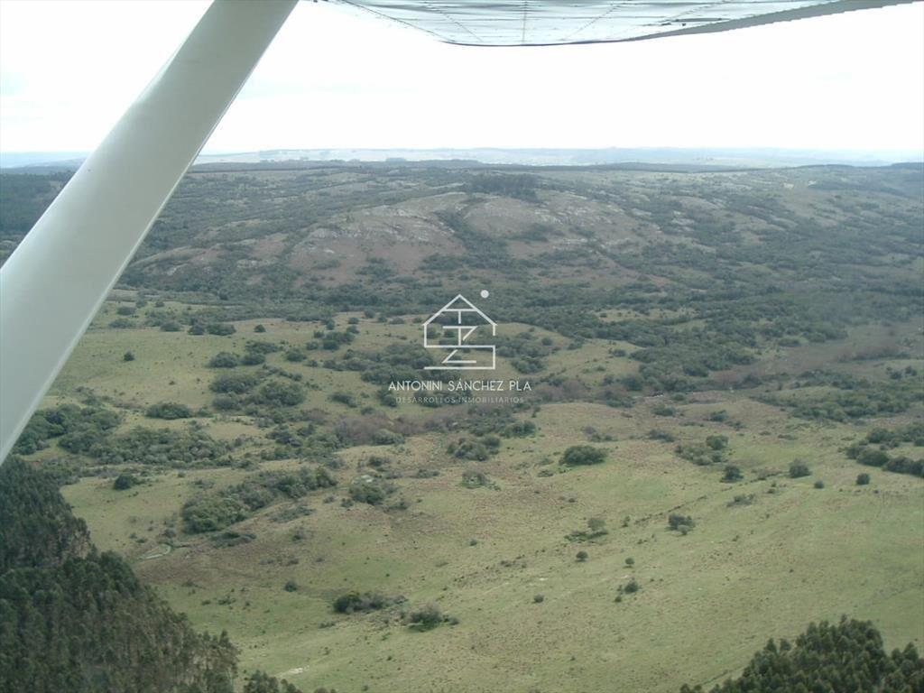 Venta Campo Ganadero Forestal Rocha