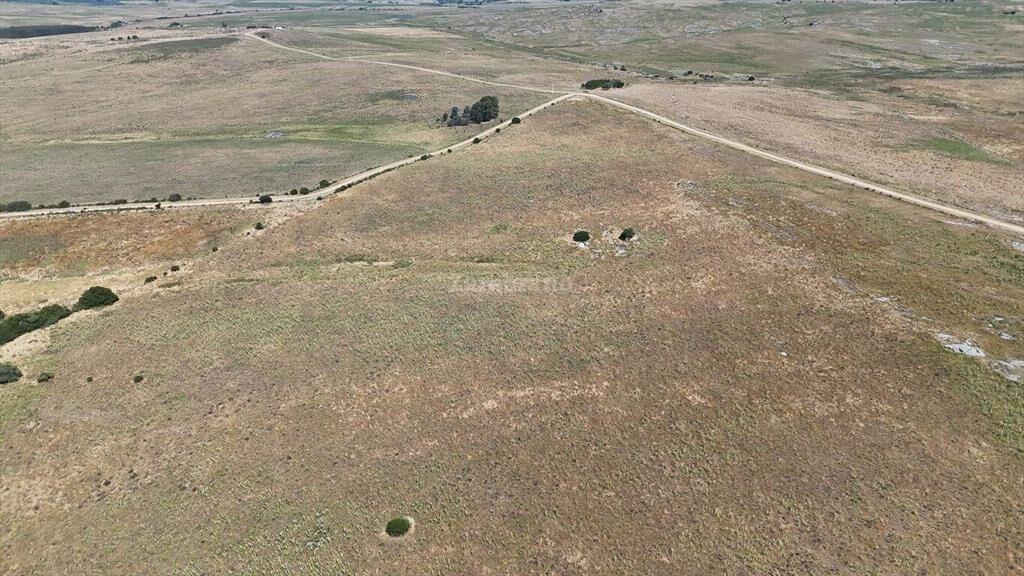 Campo Ganadero en Maldonado