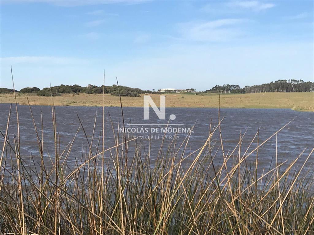 Campo en José Ignacio