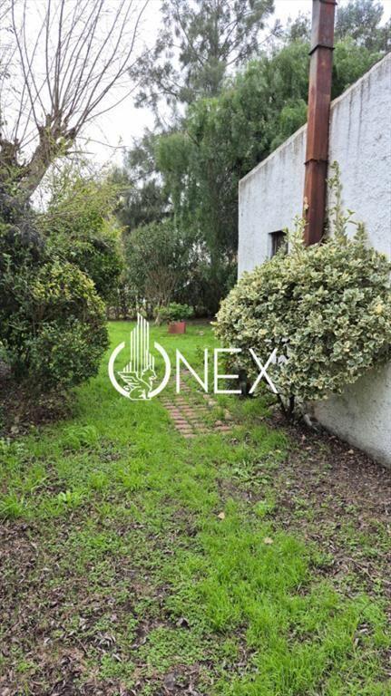 Se vende Casa a reciclar en Pinar Norte
