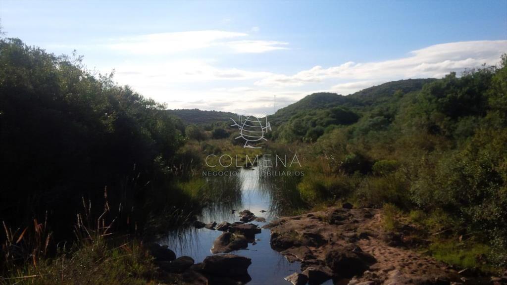 Campo 5 has con 333 m2 en paraje La Coronilla