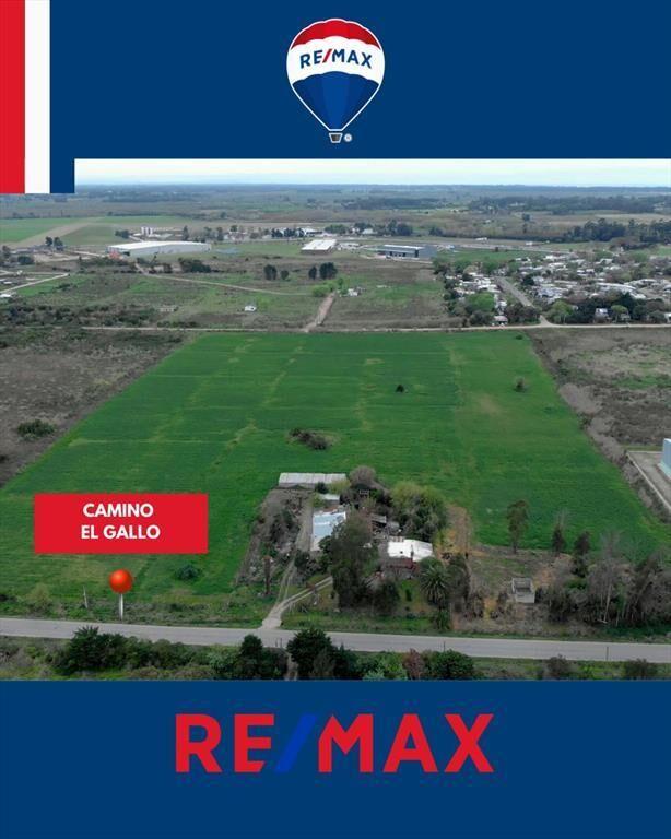 Venta terreno suburbano de 60.032m² casi Ruta 101