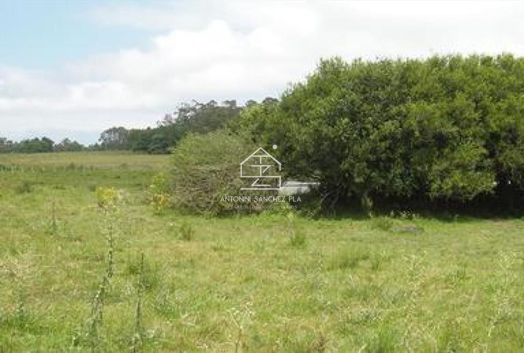 Chacra en venta Punta Ballena La Pataia