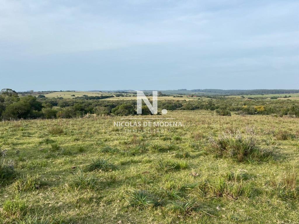 Campo en José Ignacio