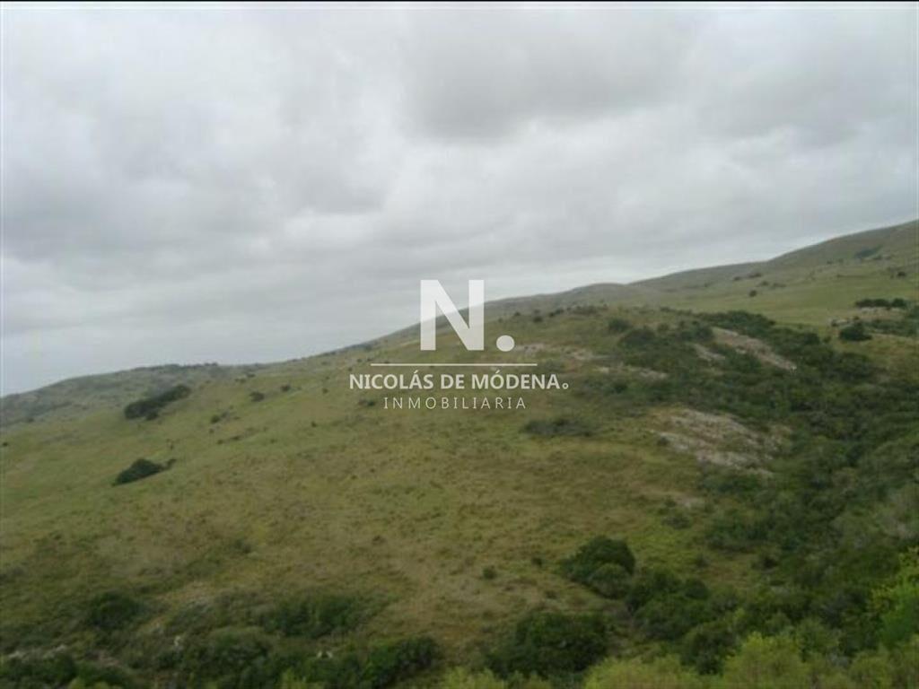 Campo de 95hás.