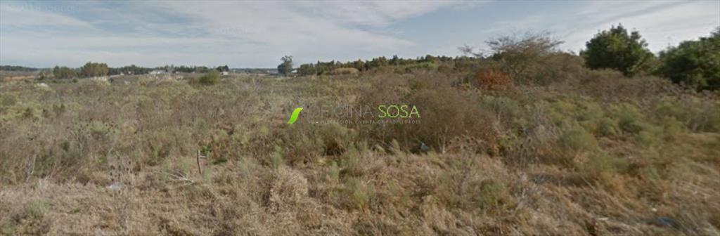 TERRENO DE 3 HECTAREAS EN ZONA DE EXPANSION DE LA