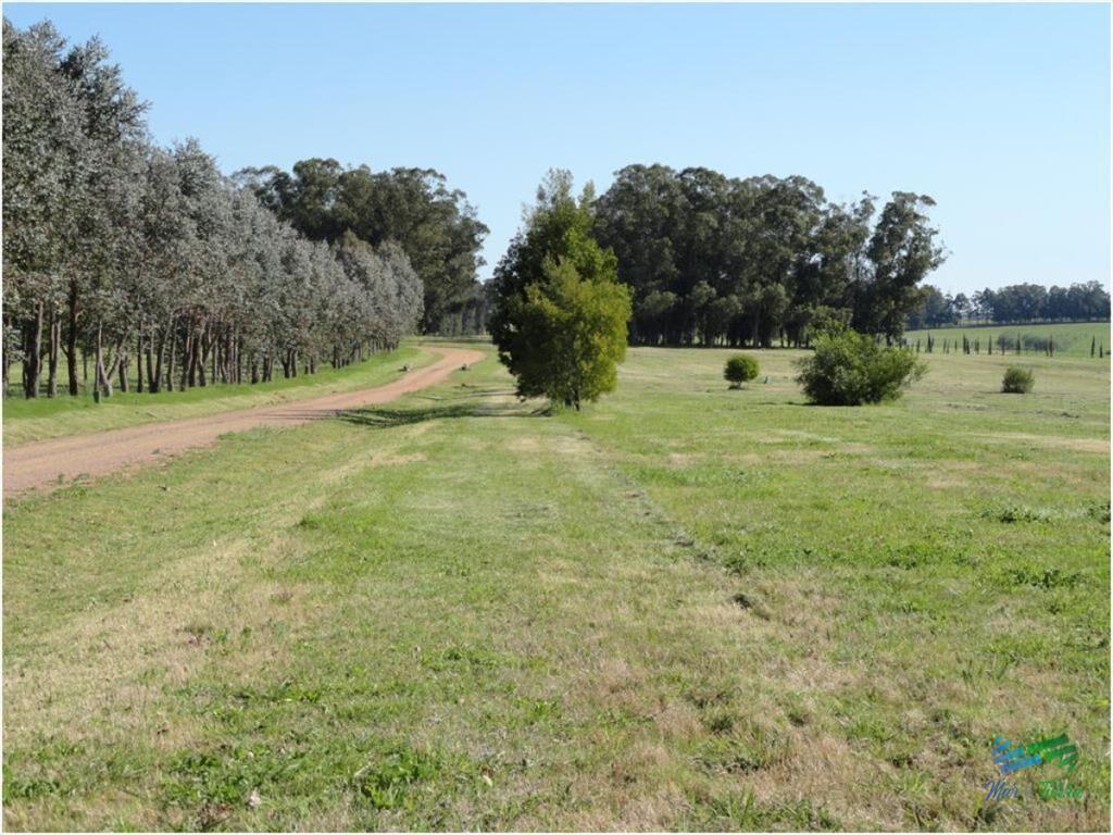 Terreno en Punta del Este, Ruta Interbalnearia