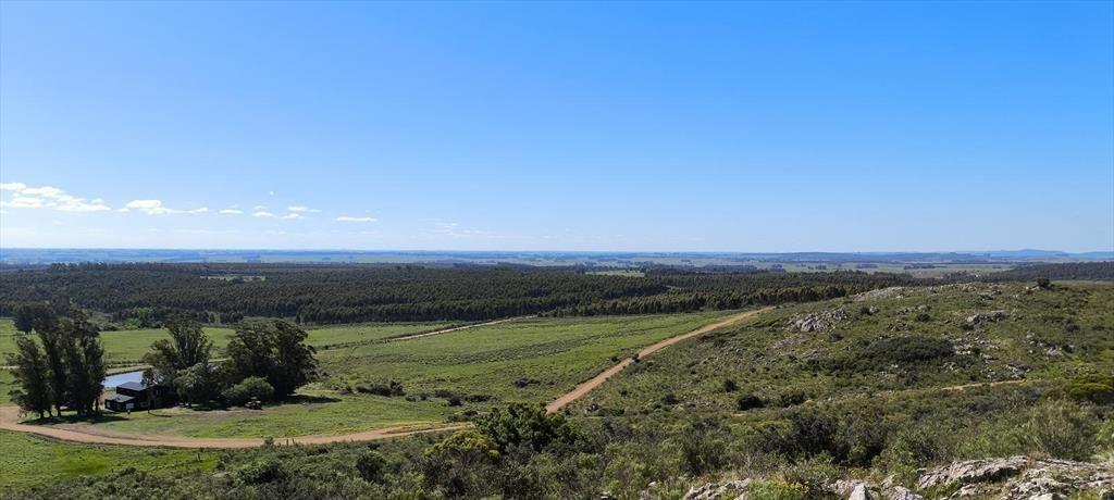 Venta de chacras de 5 hectáreas en Lavalleja, cerca de Mina