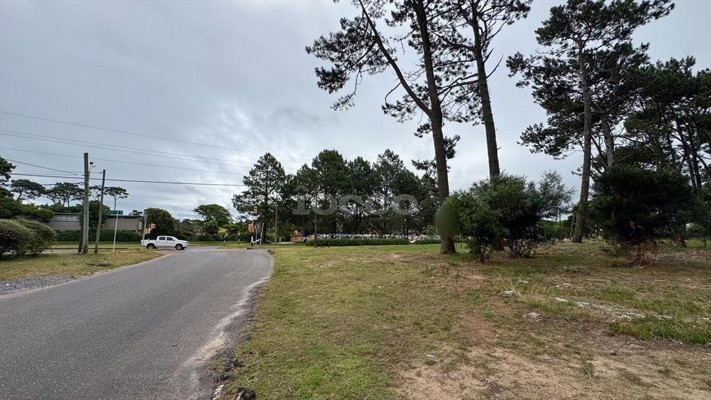 2 TERRENOS CON EXCELENTE UBICACIÓN EN PUNTA DEL ESTE