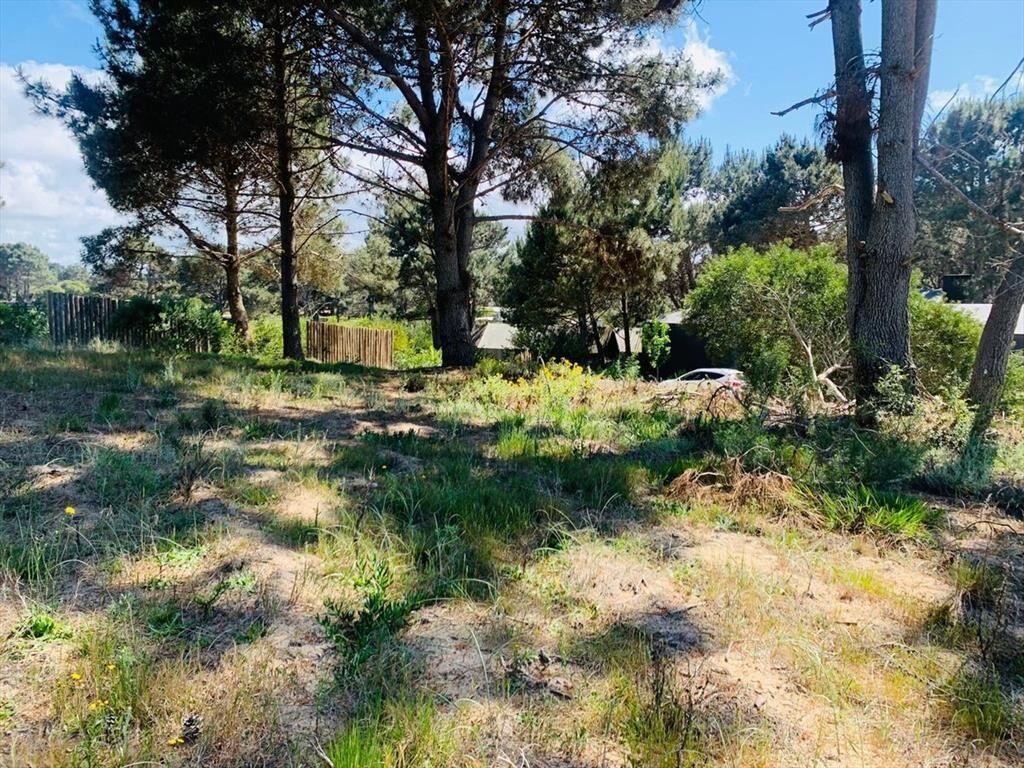 Venta lote en Laguna Escondida José Ignacio