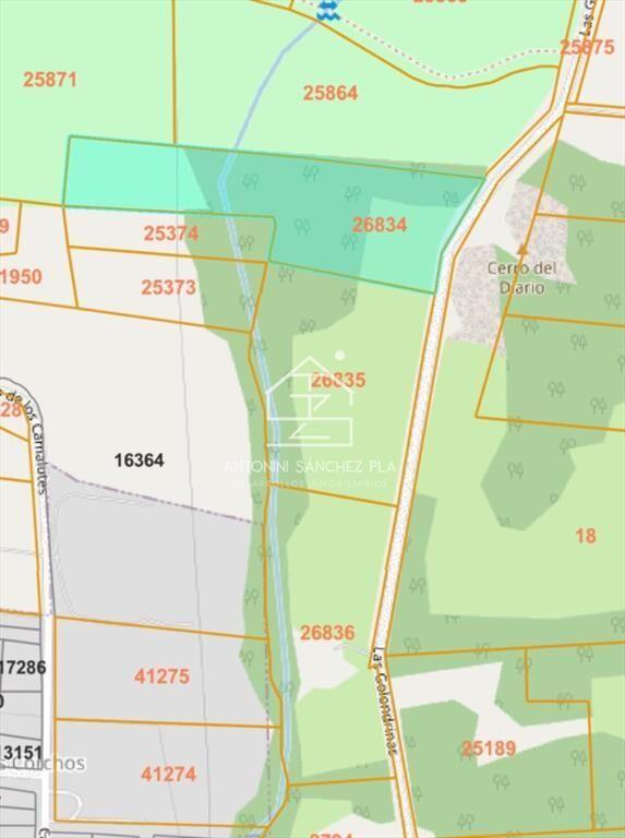 Venta chacra sobre camino La pataia Punta Ballena