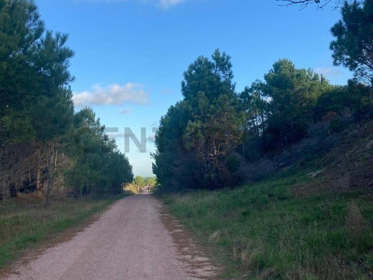 VENTA 4 TERRENOS LA ESMERALDA