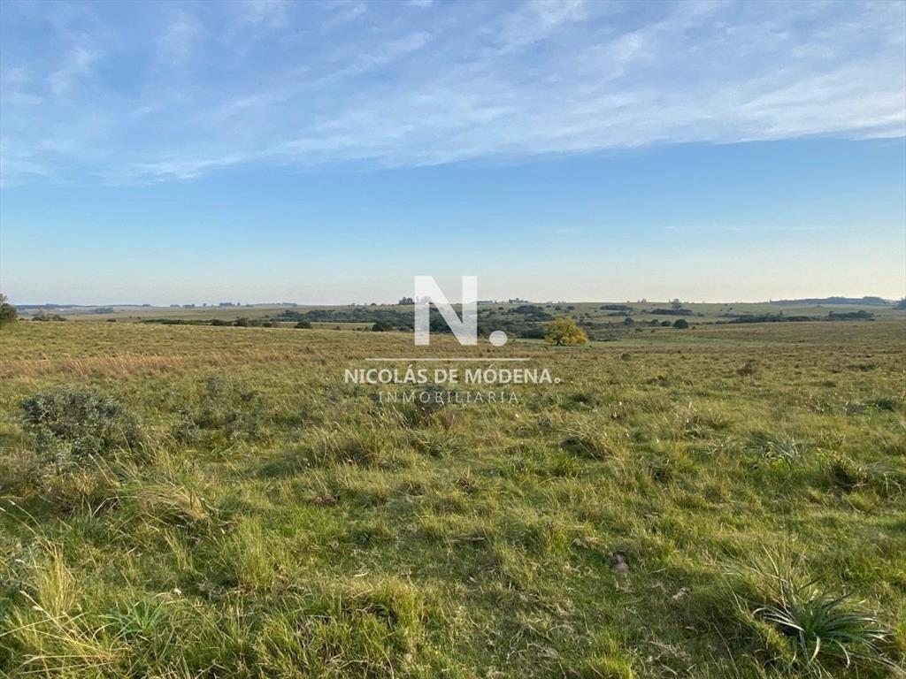 Campo en José Ignacio