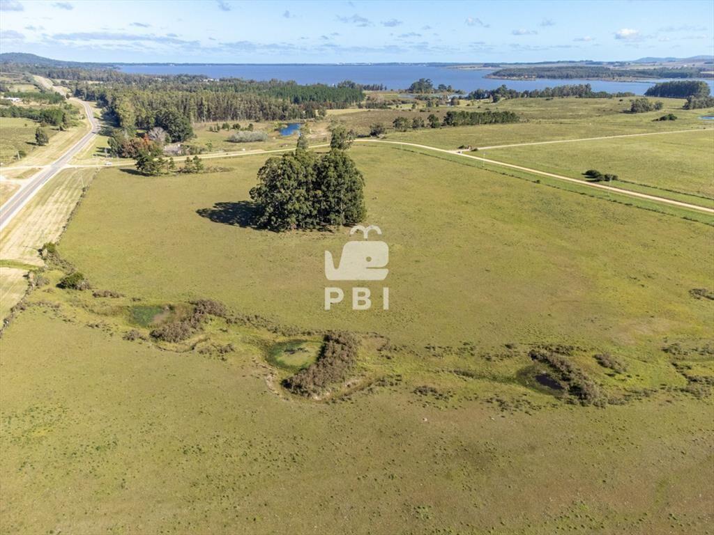 Chacra en venta en Laguna del Sauce, Punta - Ref