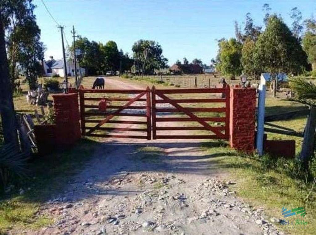Buen campo ganadero con muy buen acceso sobre