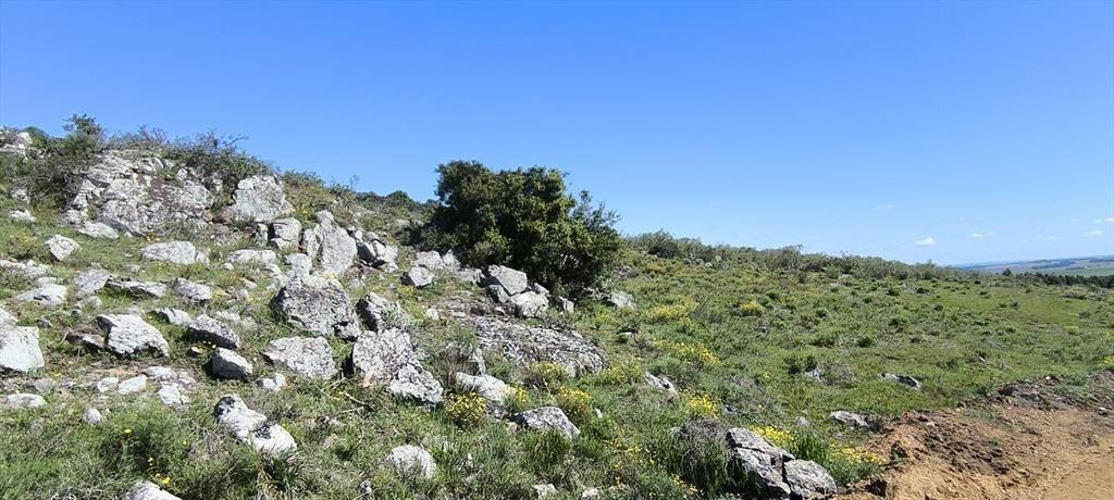 Venta de chacras de 5 hectáreas en Lavalleja, cerca de Mina