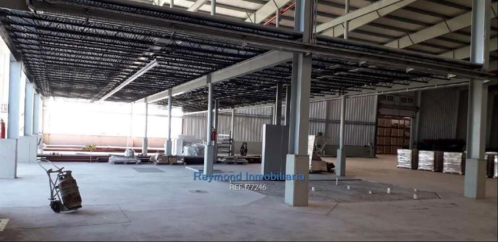Alquiler Local 5560m2 edif. 5 has de terreno. San José