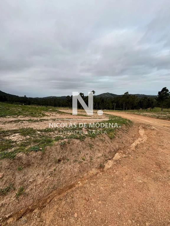 Vende chacra de 5has, con tajamar en Pan de