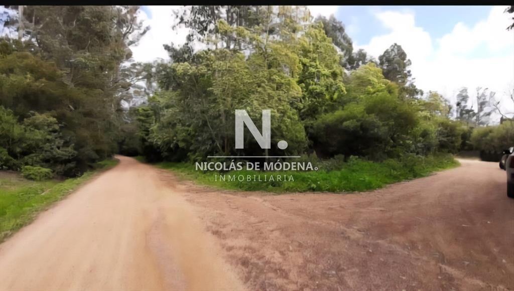En venta 2 padrones de terreno en Laguna del