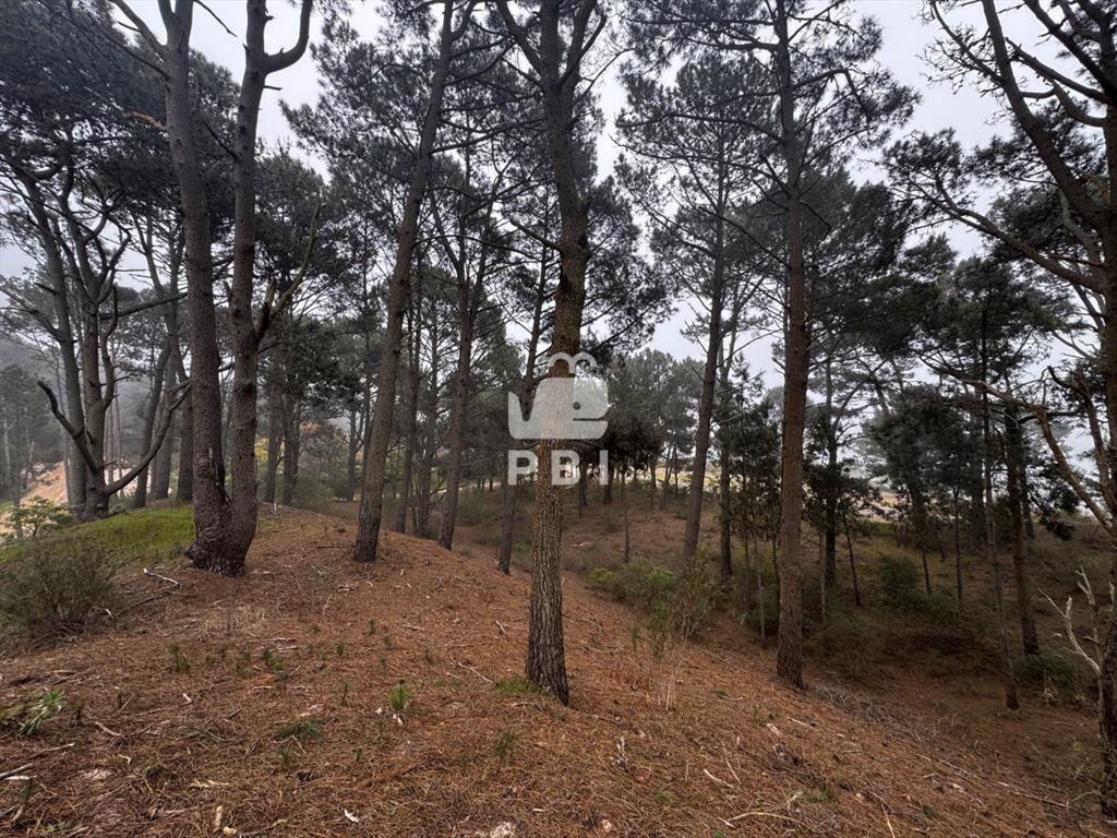 Venta de Terreno en Club del Lago - Ref :
