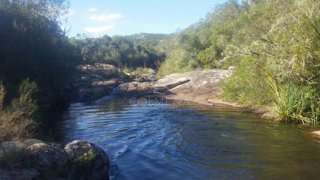 Campo 5 has con 333 m2 en paraje La Coronilla