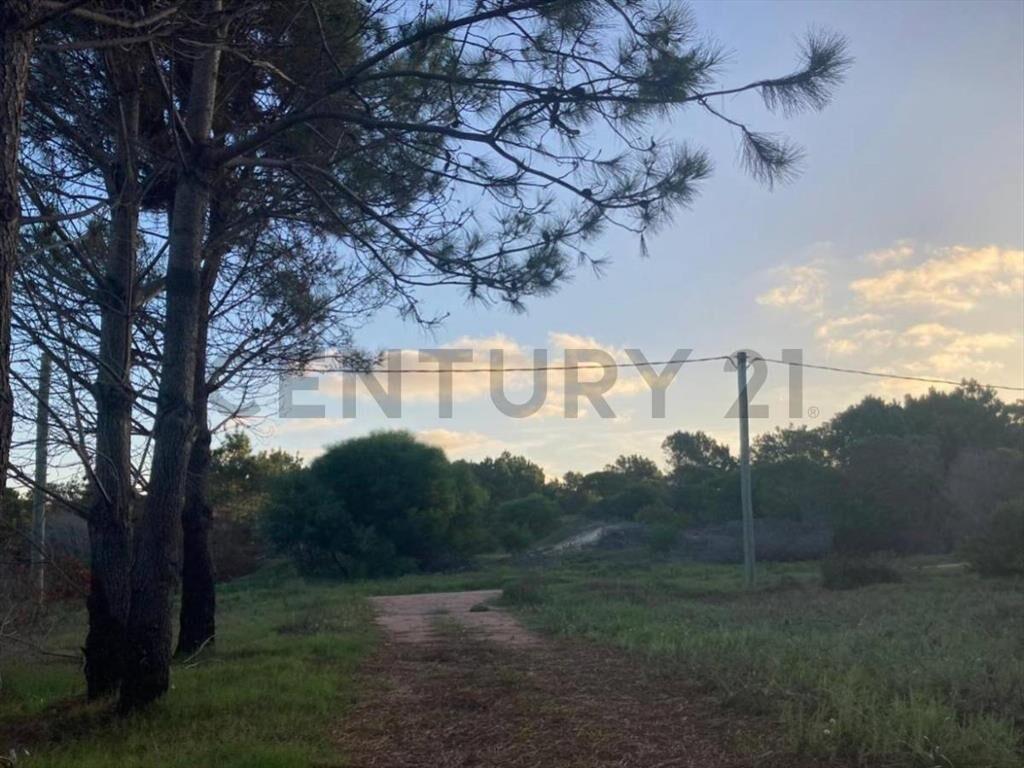 VENTA 4 TERRENOS LA ESMERALDA
