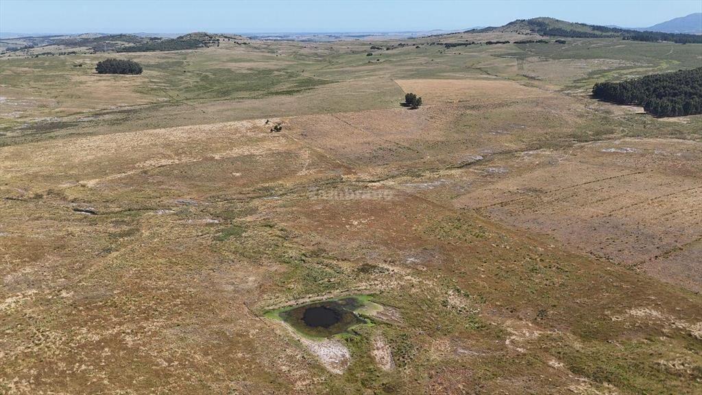 Campo Ganadero en Maldonado