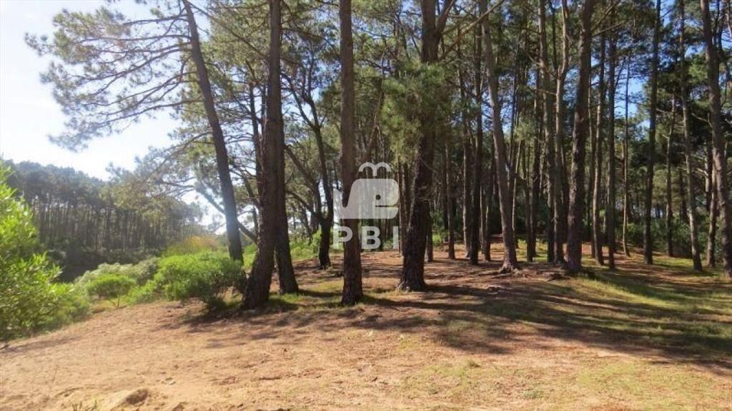 Terreno en venta Chihuahua  - Ref : PBI919