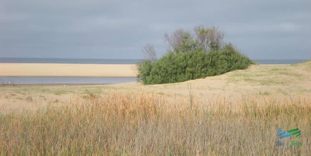 Terreno en venta en Chihuahua, Punta Ballena.