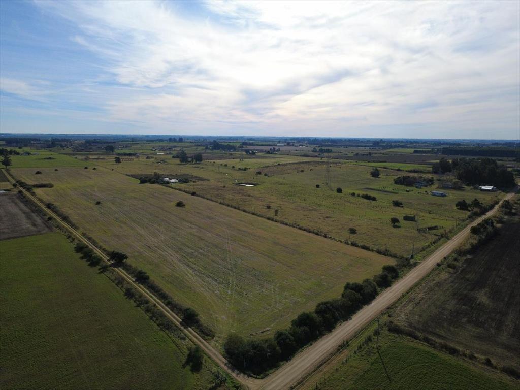 VENTA CAMPO 9,4 HAS LOS CERRILLOS, CANELONES
