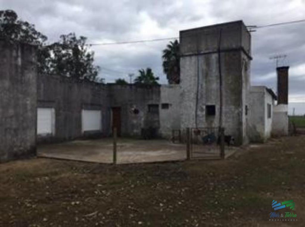 32 Has muy buena ubicación, suelos agrícolas a