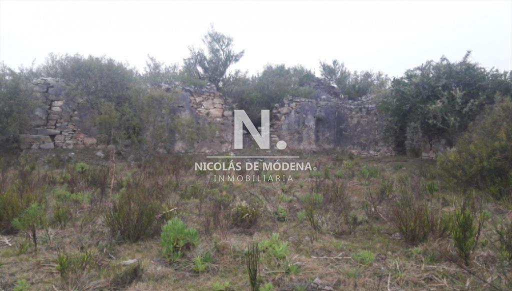 Campo Ganadero en Venta en Aigua