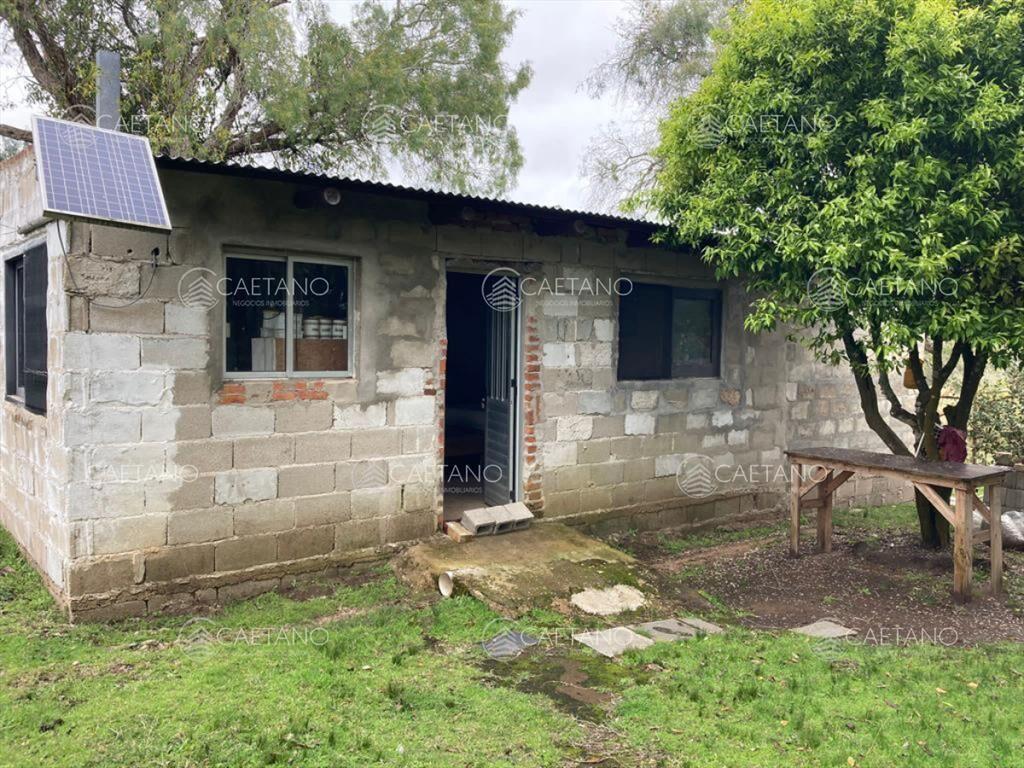 Venta chacra 7 hectáreas, Ruta 39