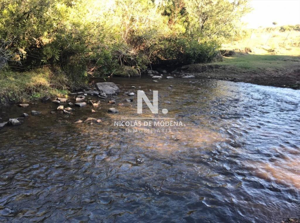 Campo ganadero en venta.