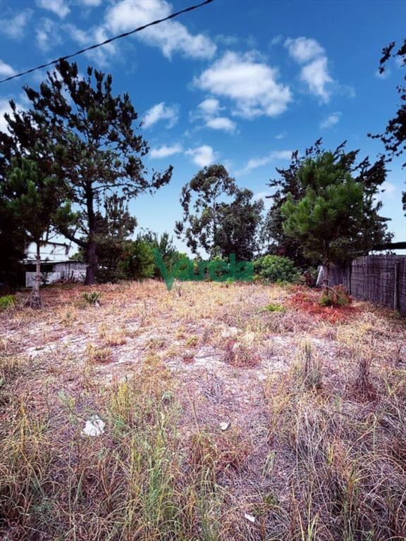 Terreno en venta Pinar sur 892 m2
