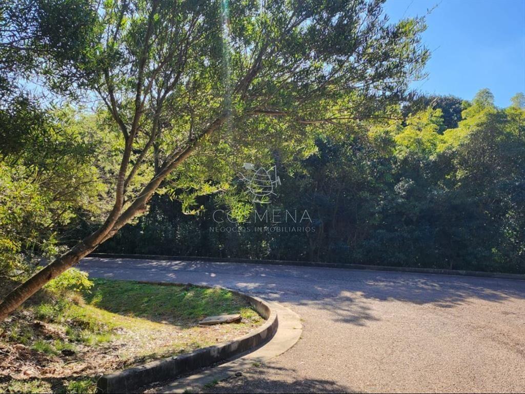 Terreno de 4226 m2, en Las Cumbres- Punta