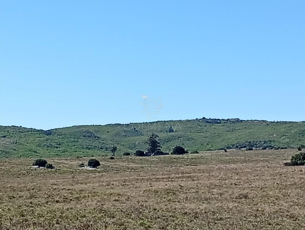 Campo 185 has - Paraje Paso de Dutra