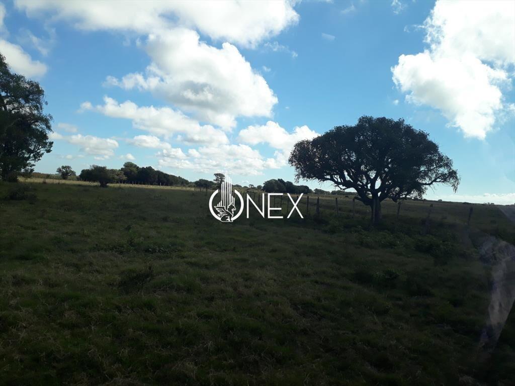 Oportunidad Venta de Campo agricola ganadero 576