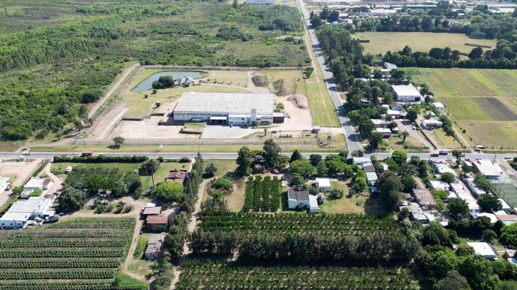VENTA Terreno 55707 m2,LOGISTICA, PASO DE LA ARENA