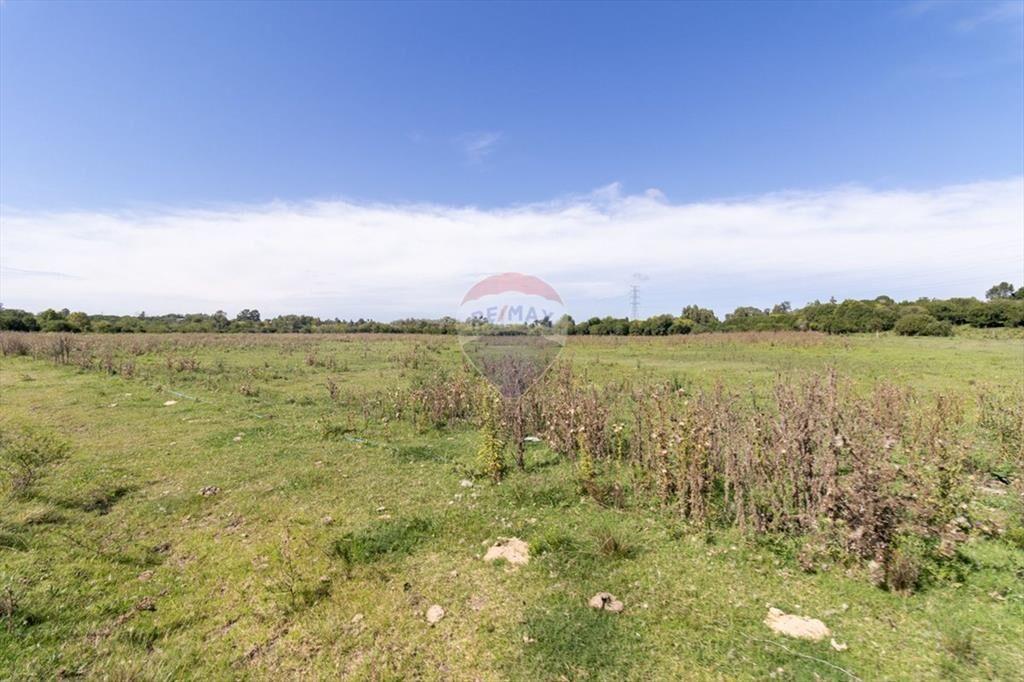 VENTA DE CAMPOS CHACRA, EN LAS BRUJAS, CERRILLOS