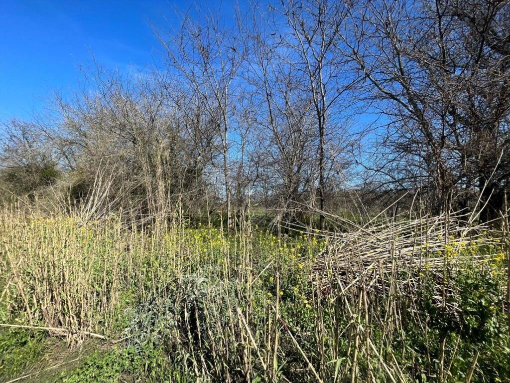 Campo en venta de 20m2 ubicado en Canelones