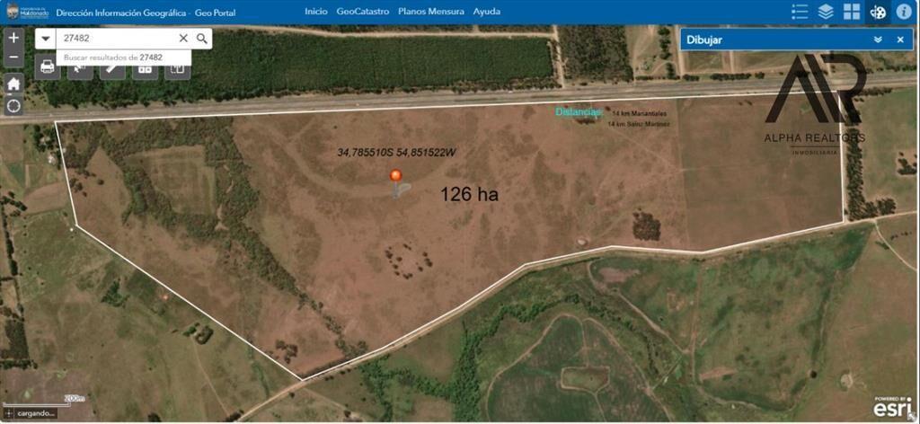 Campo en venta de 126ha ubicado en San Carlos