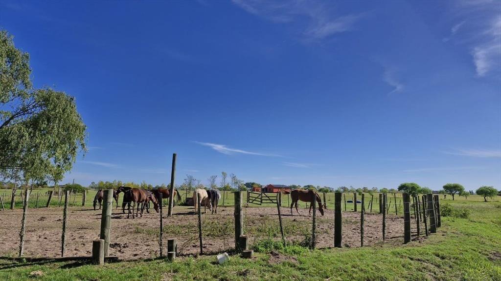 Venta Lote de 3760m2 Barrio privado Carmelo Golf