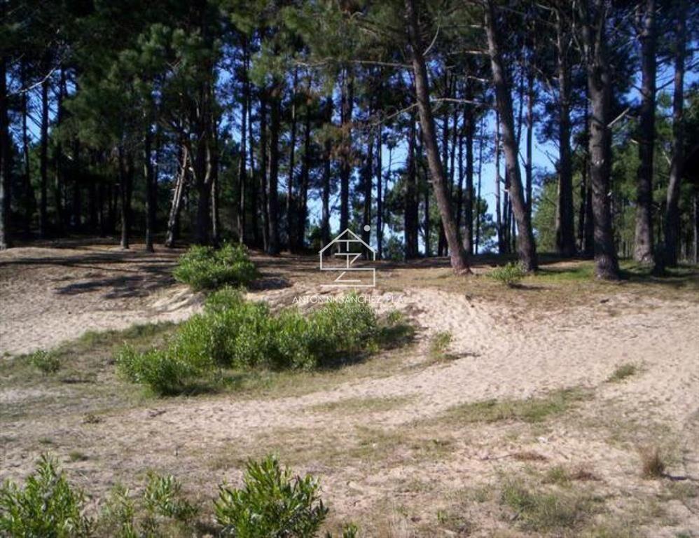 Terreno en Punta Ballena, Chihuahua