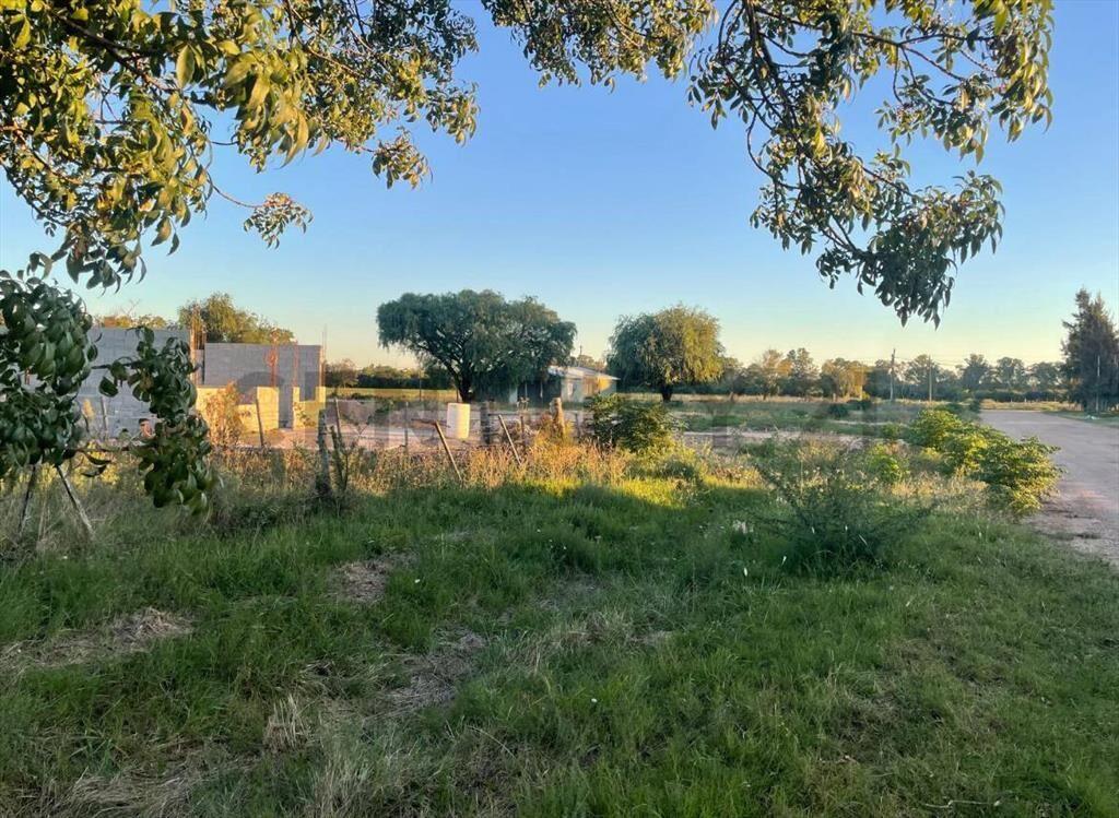 Venta |terreno,Paso Espinosa, carretera Lema, Ruta 62, Ca...