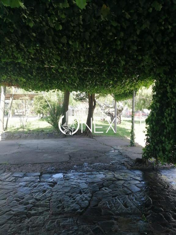 Se vende casa en Gregorio Aznárez , Maldonado