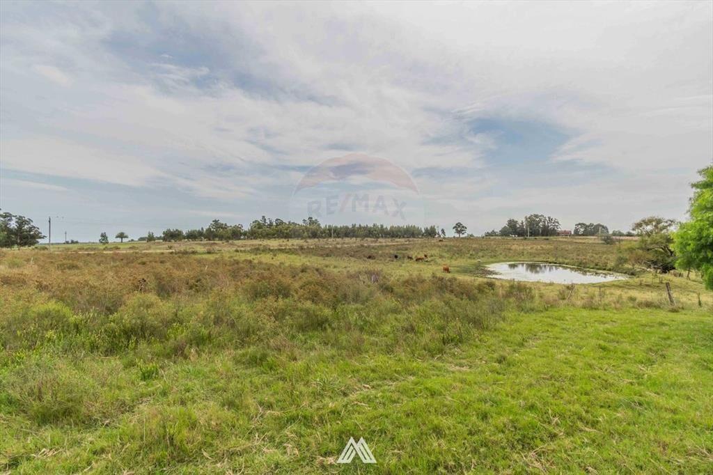 Venta de campo 12Ha. con casa en Ruta 80 Migues