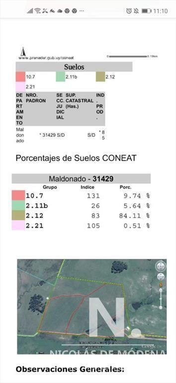 Chacra Olivicola de 20 hectarias en ruta 9