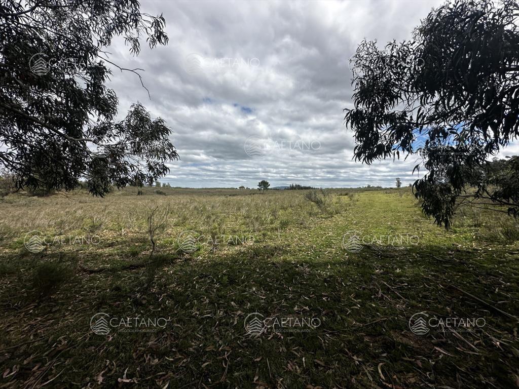 Venta chacra km 116 ruta 9. Cerca de Pan de