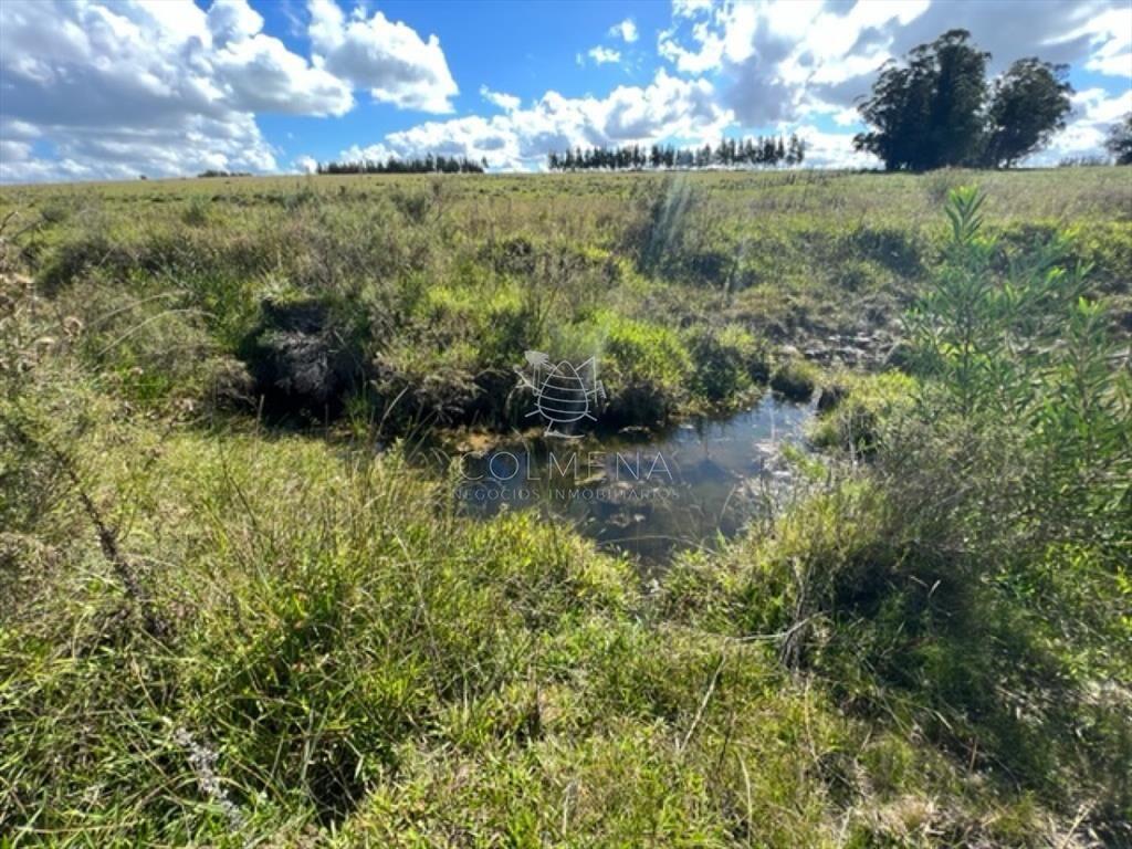 Campo 5 has con 2473 m2 sobre ruta 9